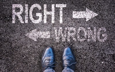 Learn From Others Mistakes and Successes